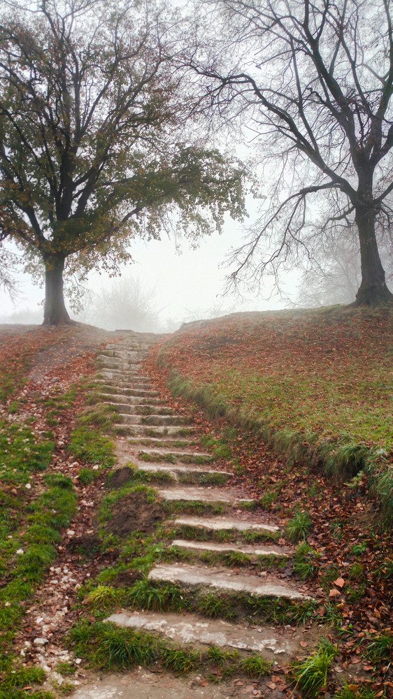 Photograph by Mykhailo Makarov