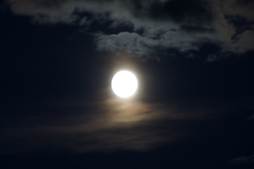 Photograph by Ирина Пальцына