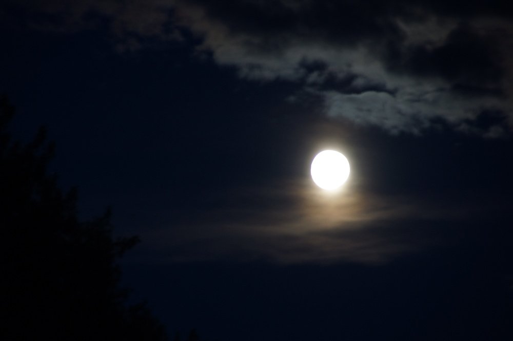 Photograph by Ирина Пальцына