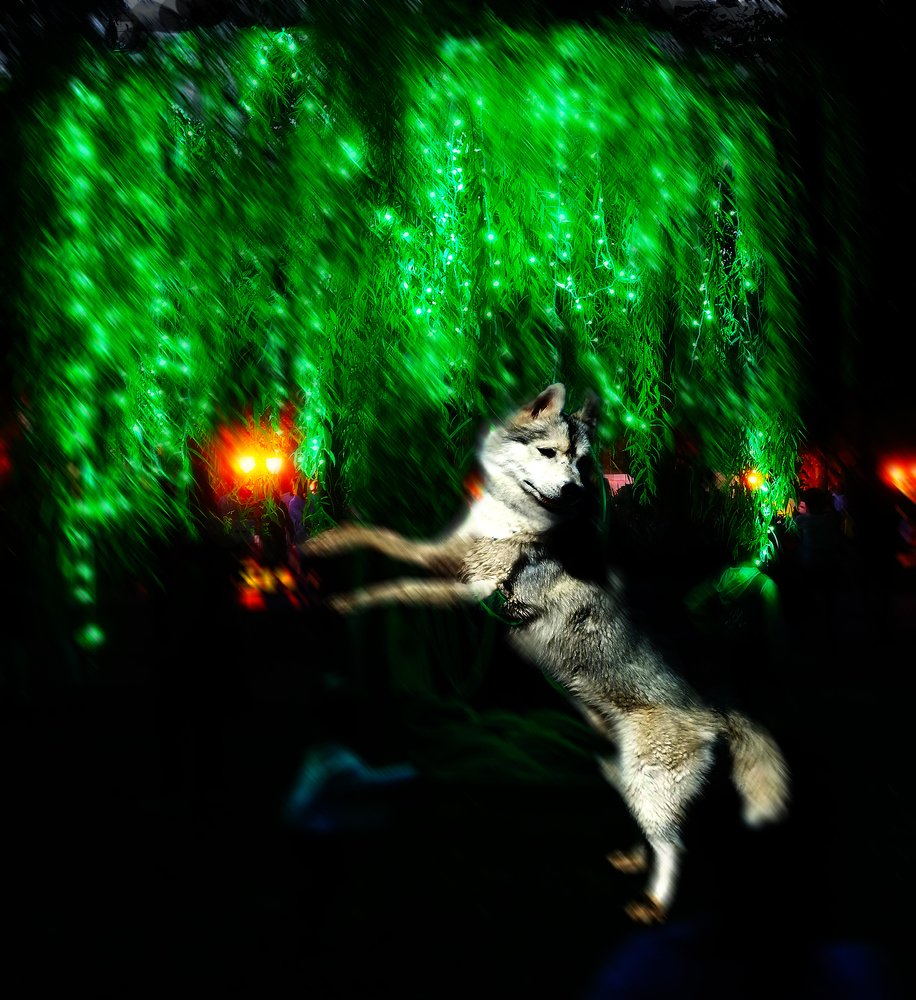 Photograph by Борис Чугунов
