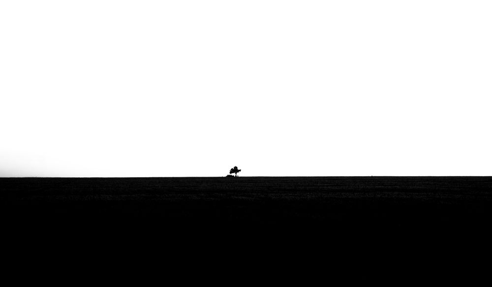 Photograph by Polina Sharapova