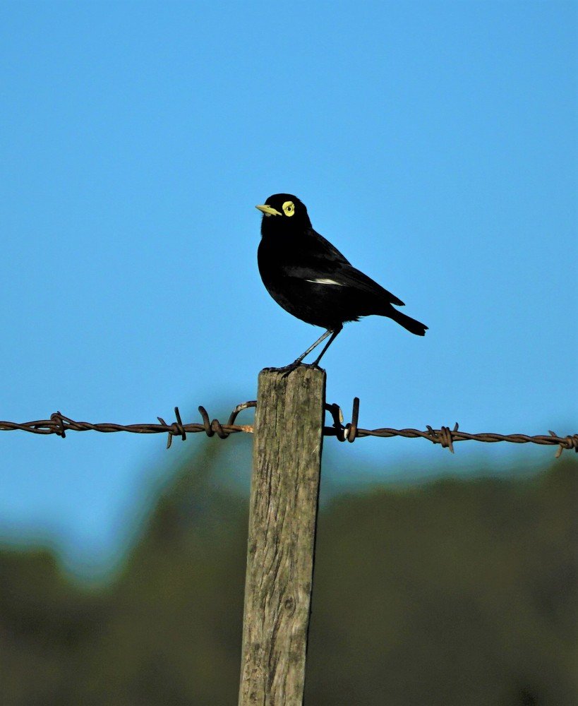 Photograph by Karina Elena Bergagna