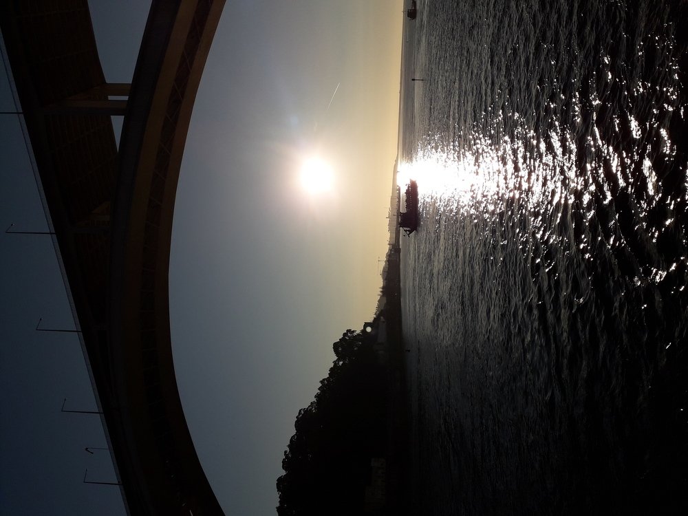 Photo #3907458