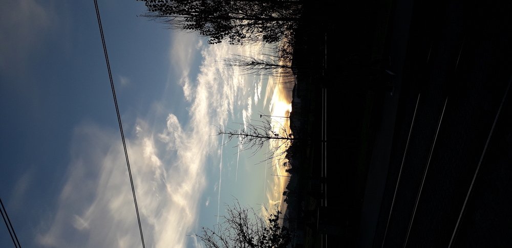 Photo #3907465