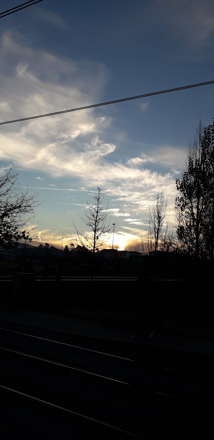 Photo #3907465