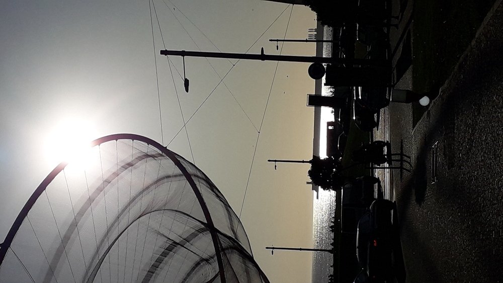 Photo #3907475