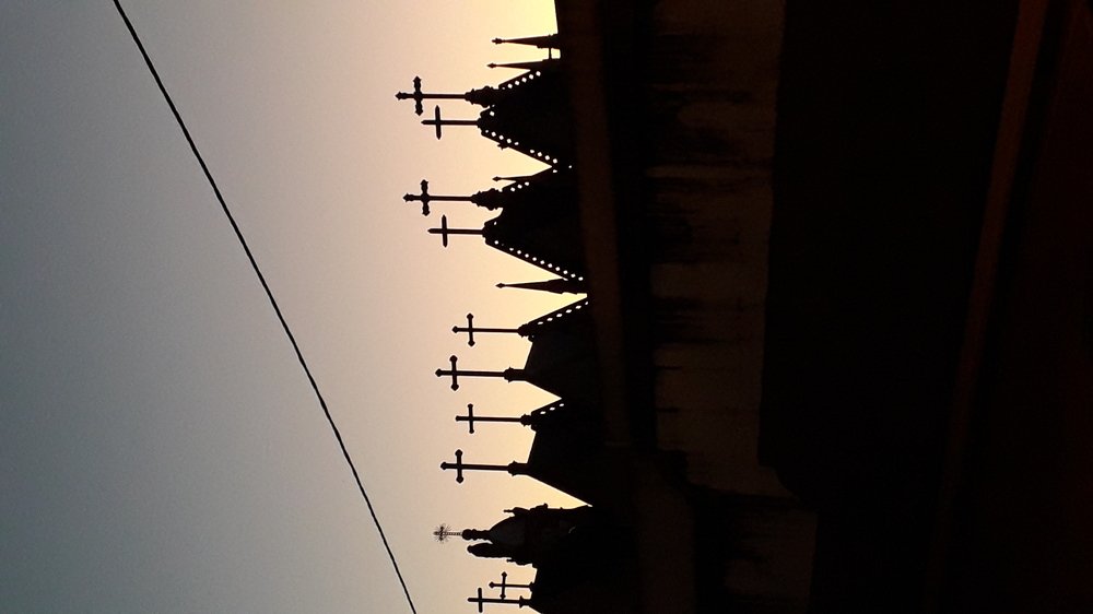 Photo #3907476