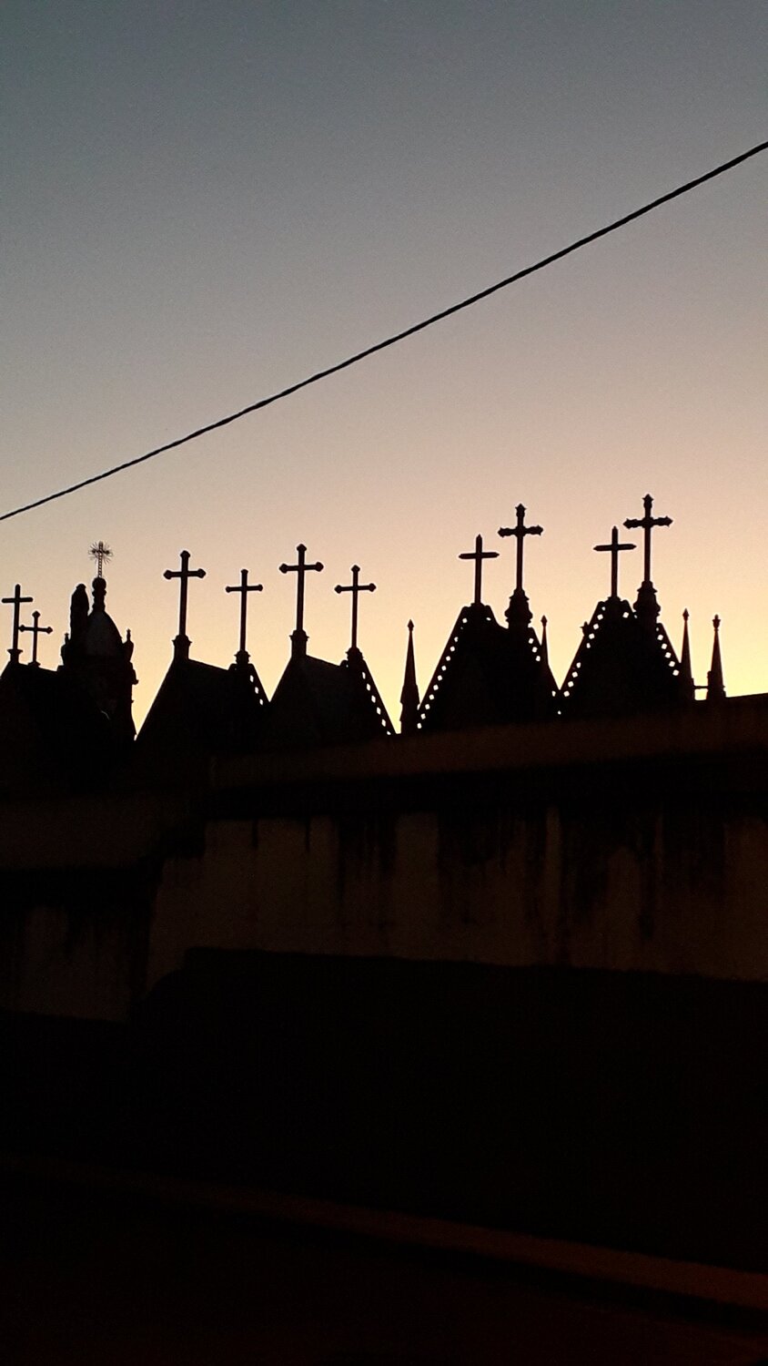 Photo #3907476