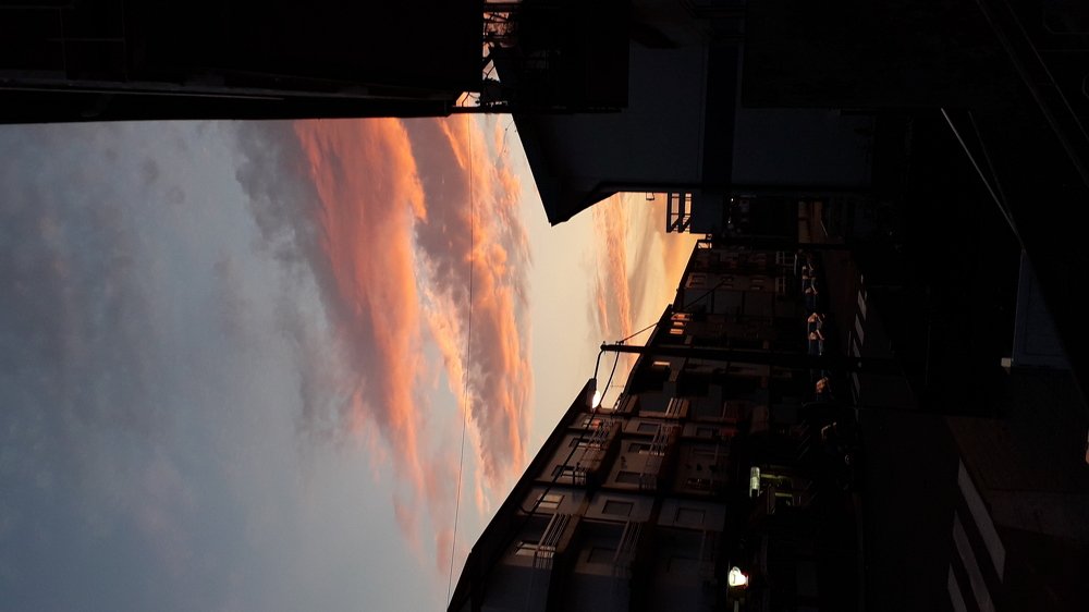 Photo #3907478