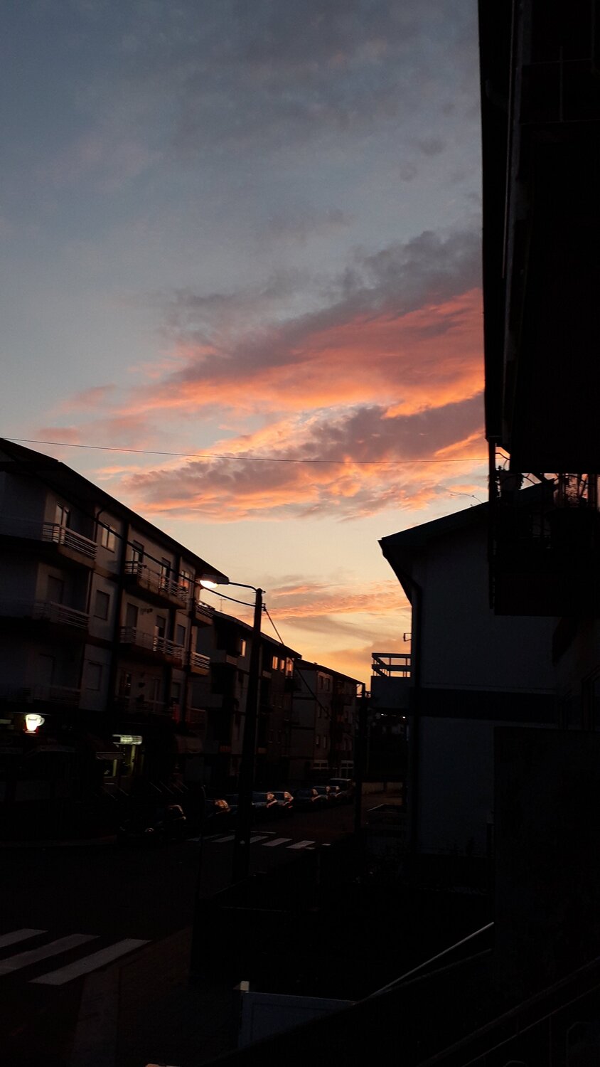 Photo #3907478