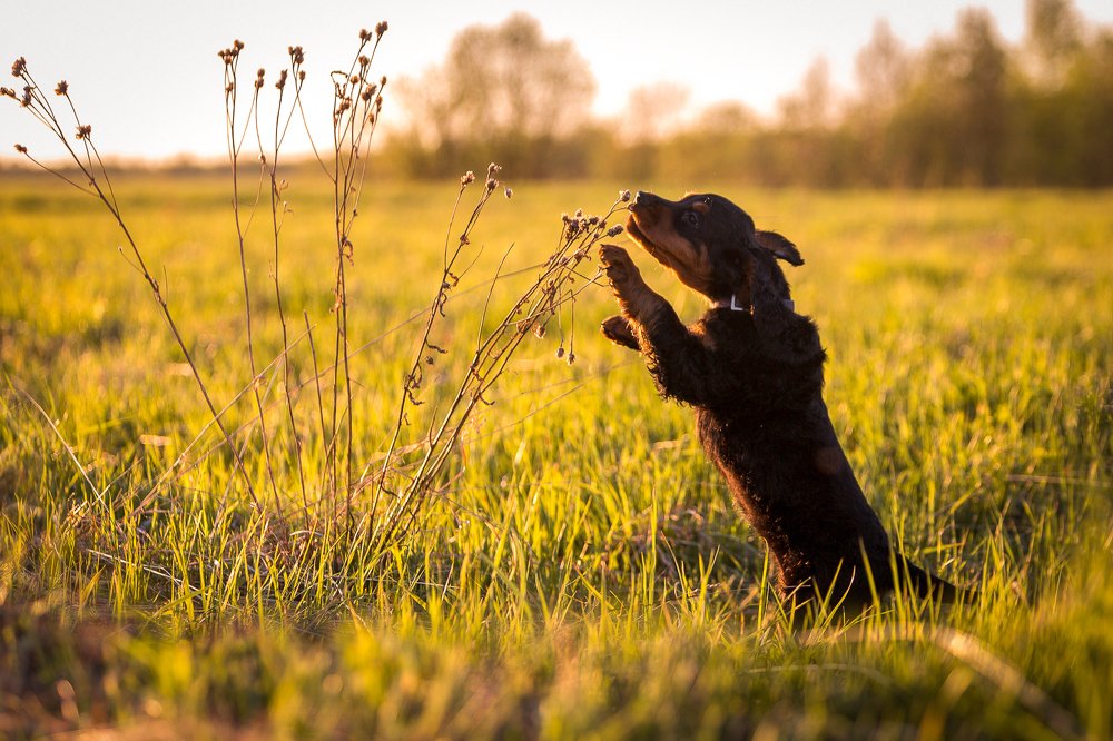 Photograph by Evgeniya Glinskaya