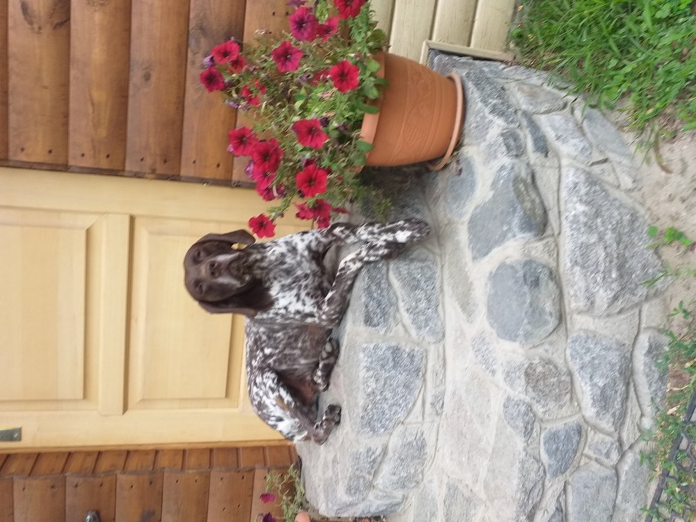 Photo #3907559
