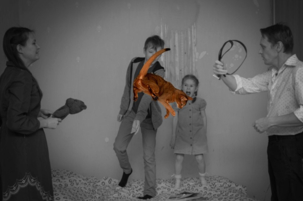 Photograph by Полина Кожухарь