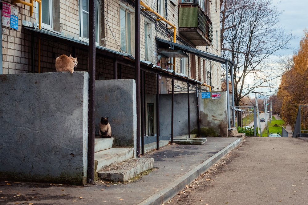 Photograph by Полина Кожухарь