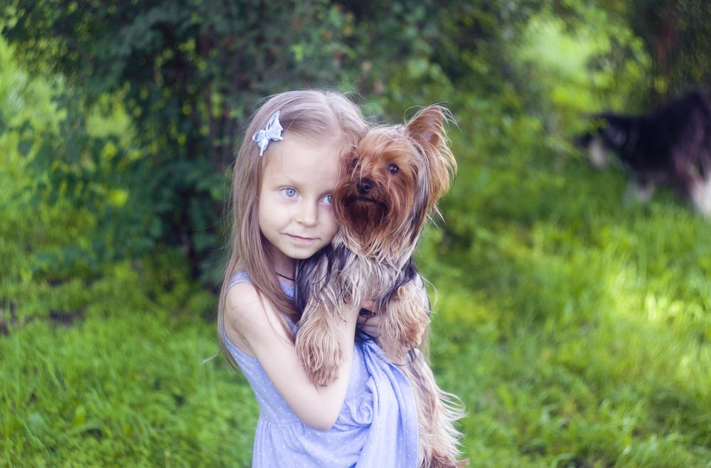 Photograph by Александр Белоус