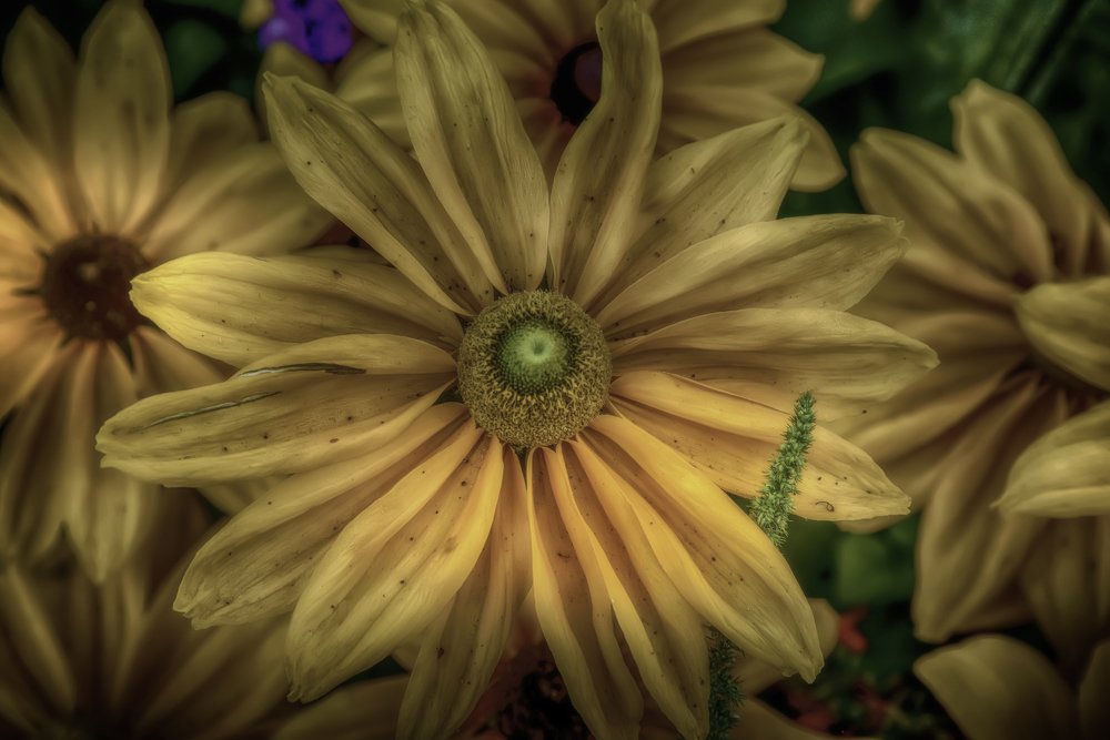 Photograph by Aram Rustayi