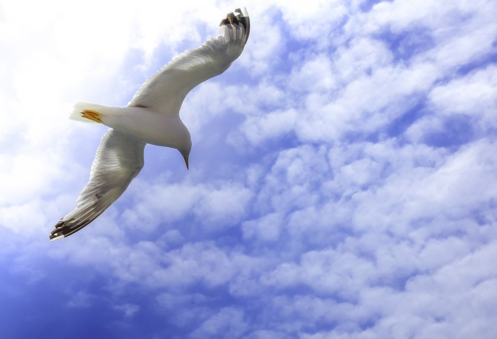 Photograph by Aram Rustayi