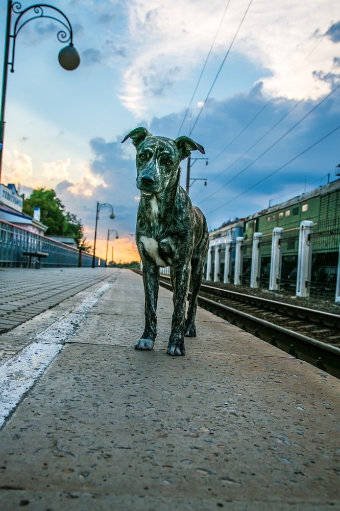 Photograph by Ева Леманн