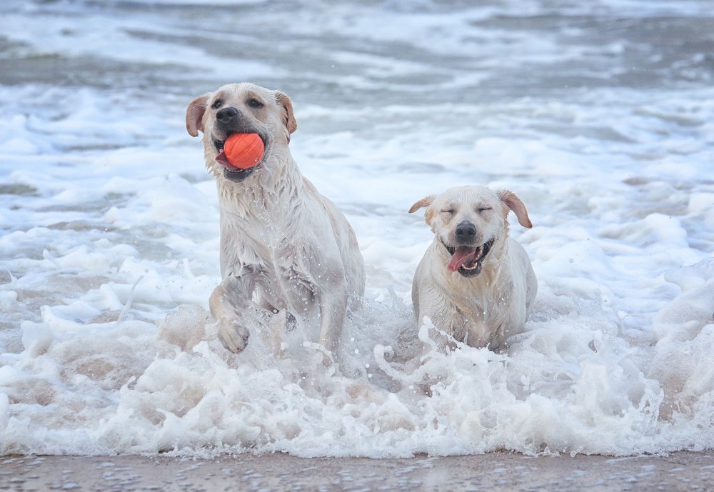 Фотография автора Katerina Mumzhinskaya