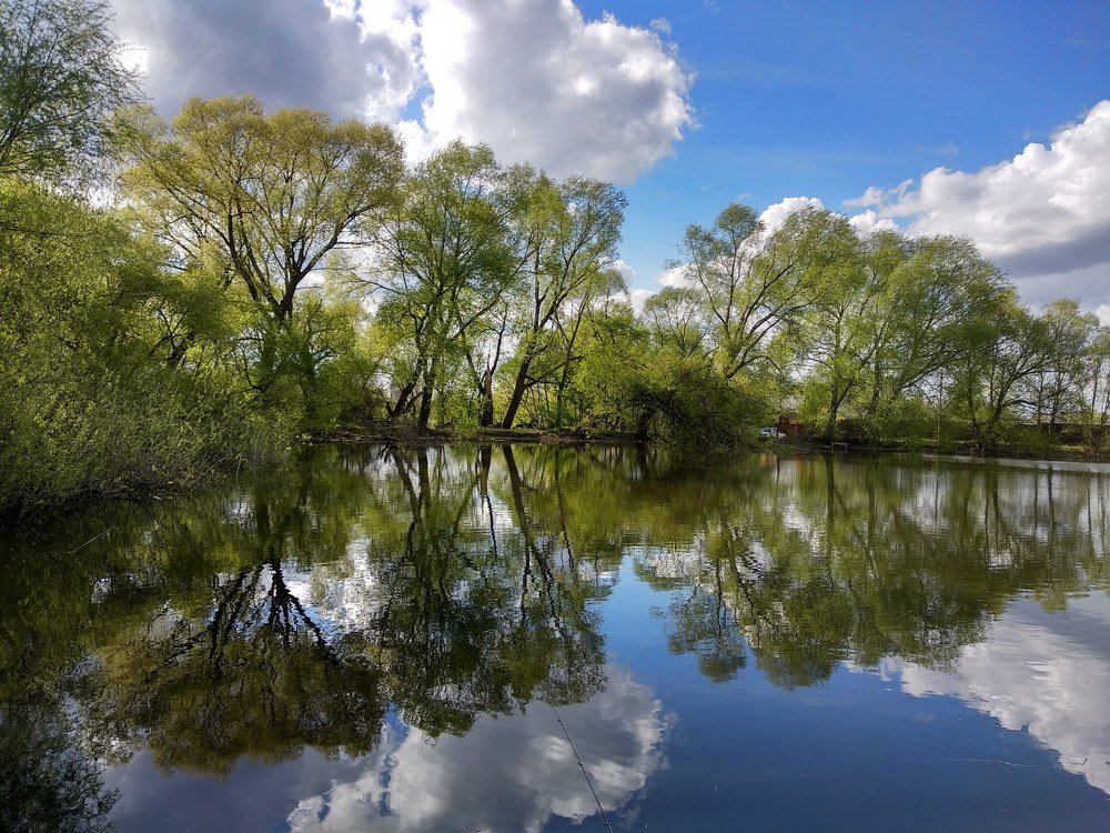 Photograph by Алеся Писнова