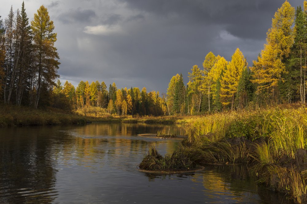 Таёжная река