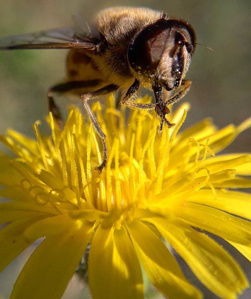 Photograph by Оксана Кочубеева