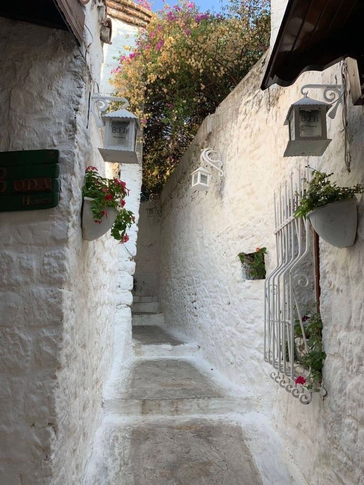 Photograph by Светлана Хохлова