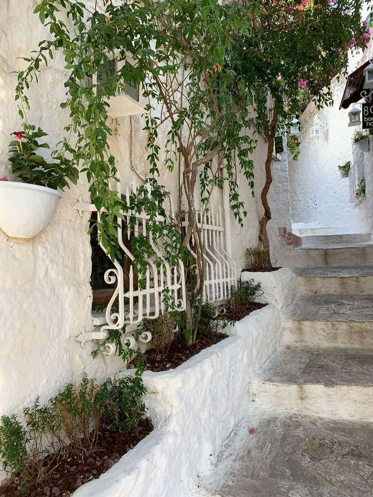 Photograph by Светлана Хохлова