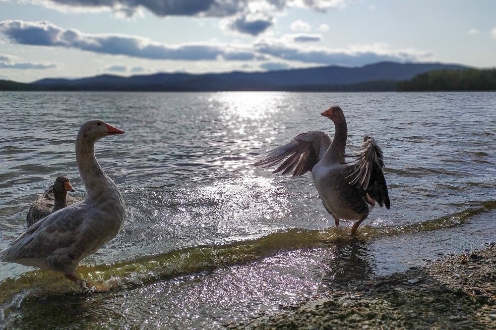 Разрешите представиться!