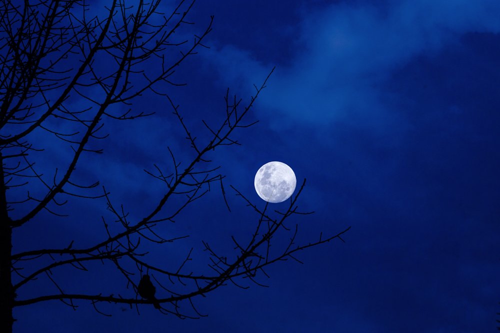 Photograph by Orumanayur Vinod