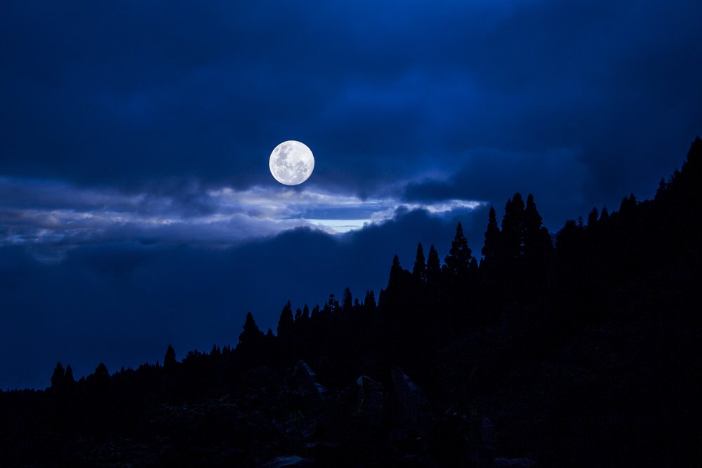 Photograph by Orumanayur Vinod