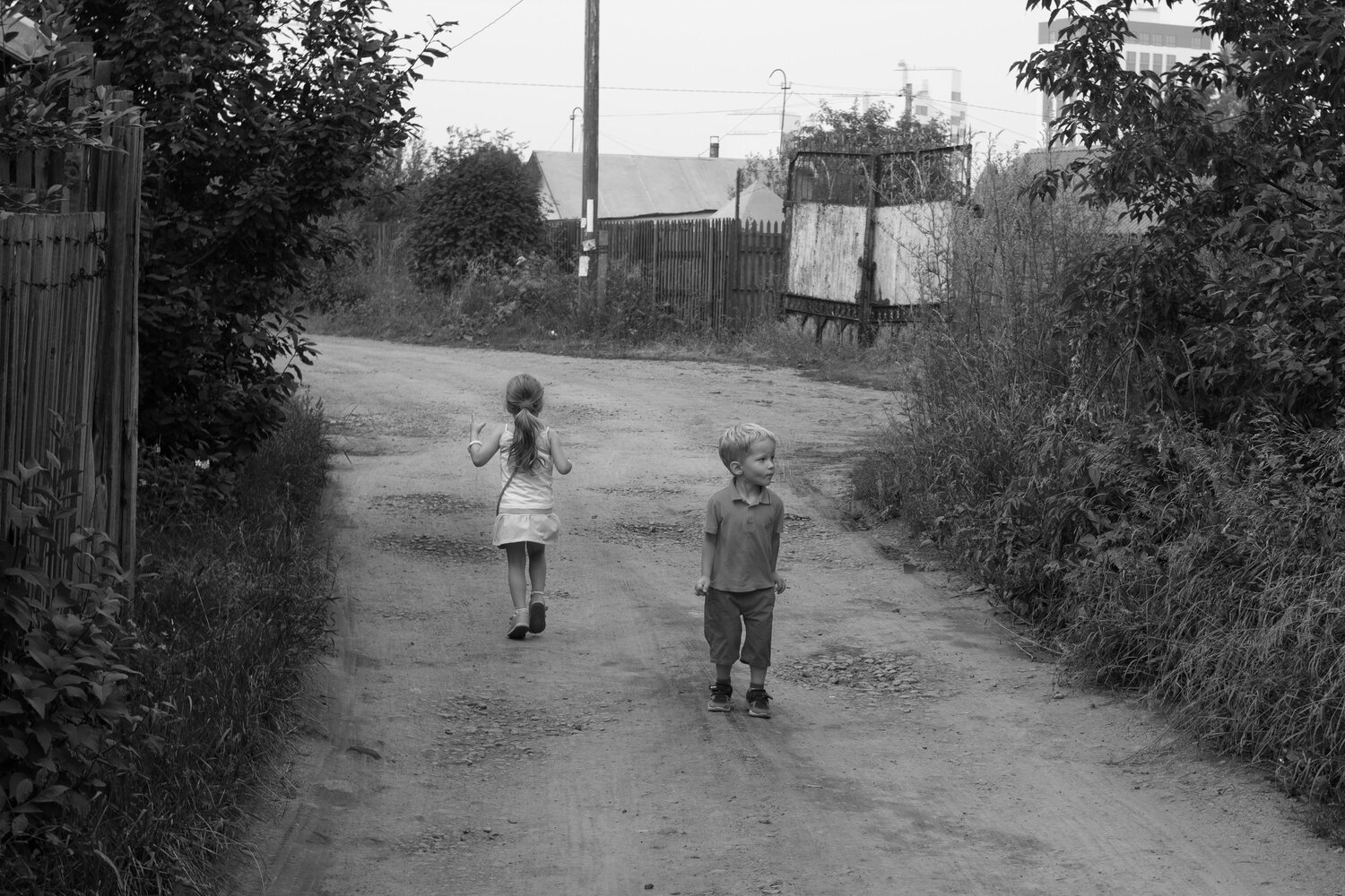 Photo #3908138