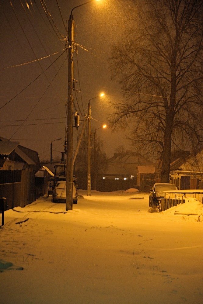 Фотография автора Алексей Григорьев