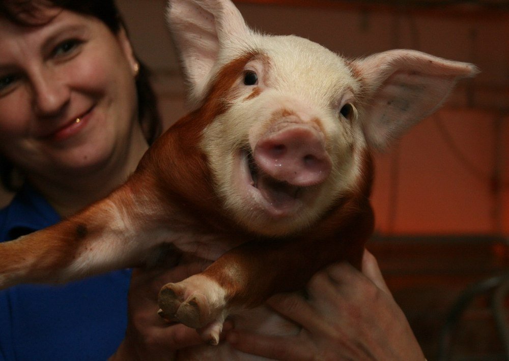 Photograph by Наталья Манусова