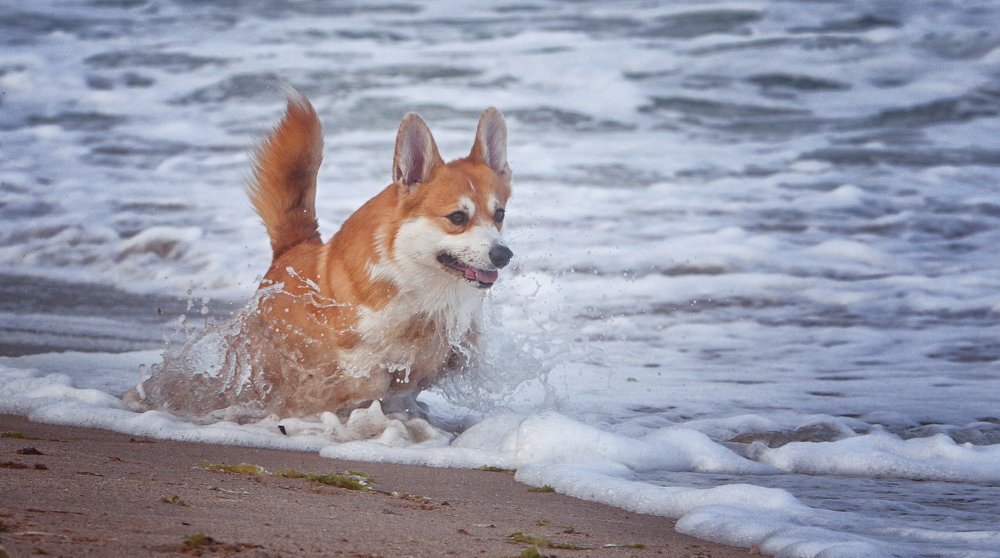 Фотография автора Katerina Mumzhinskaya