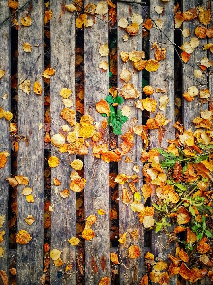 Photograph by Виктория Кузина