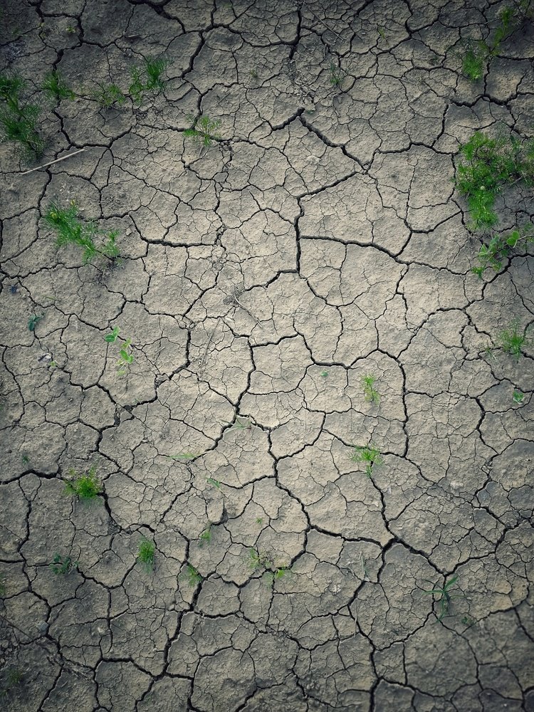 Photograph by Виктория Кузина