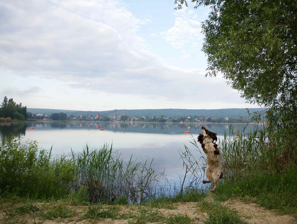 Бодрое утро.