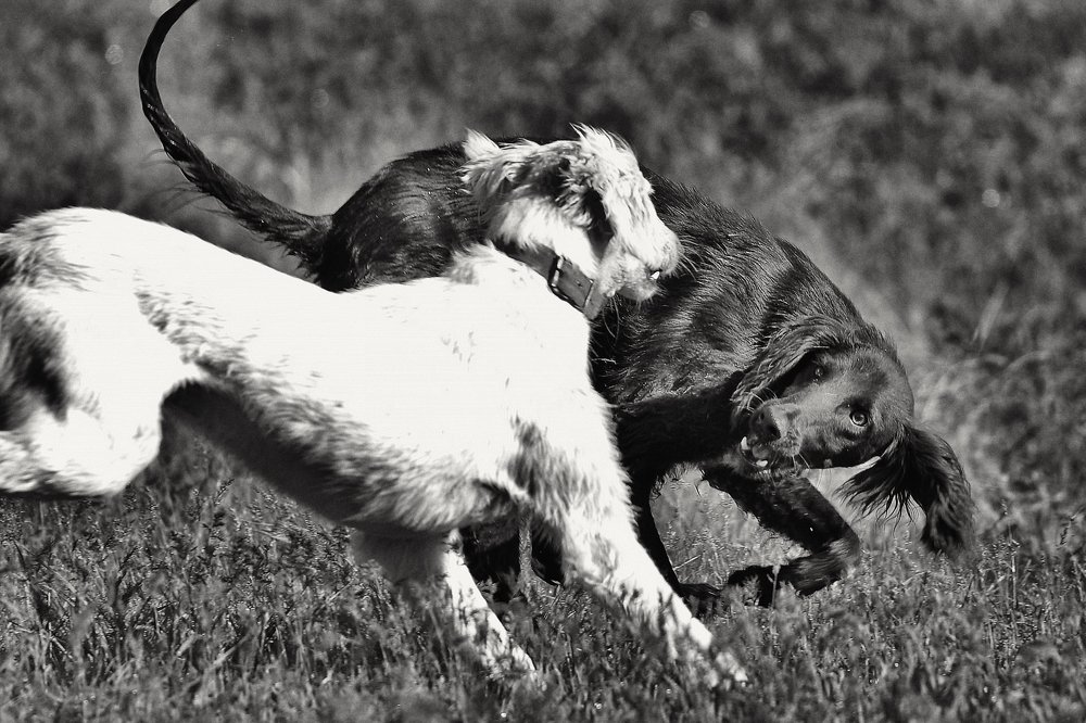 Photograph by Серик Есентаев