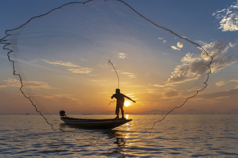 Casting the net