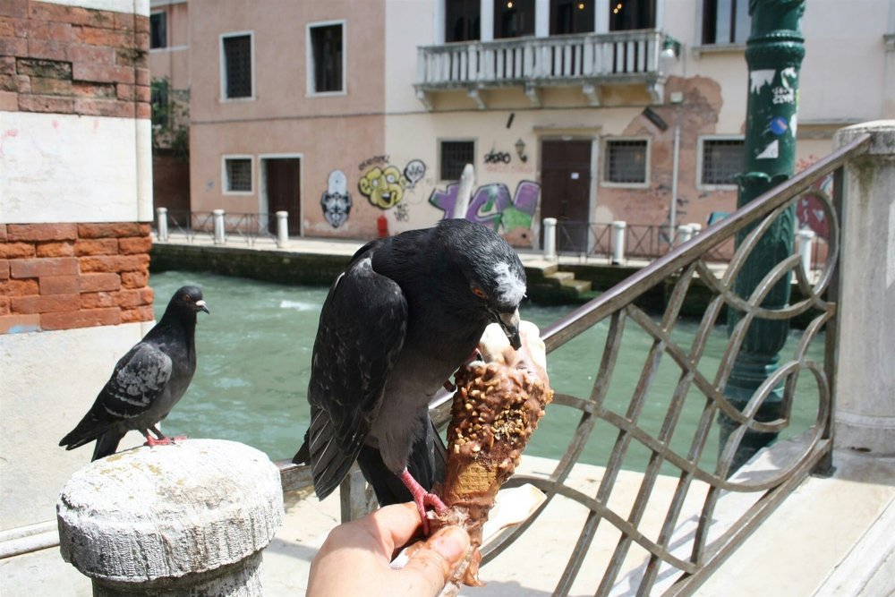 Photograph by Татьяна Рудковская