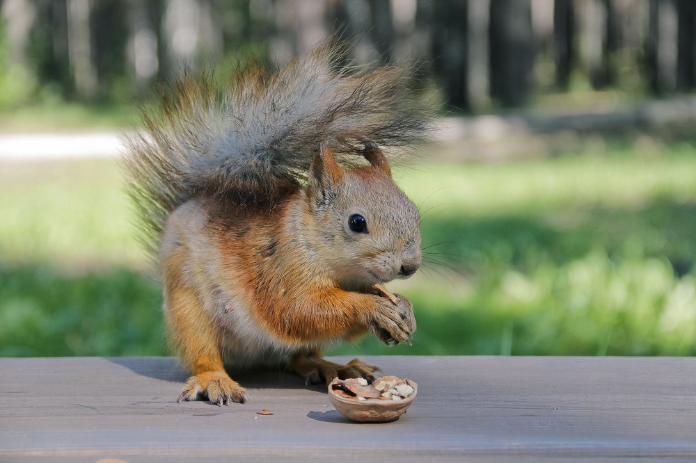 Photograph by Денис Бутин