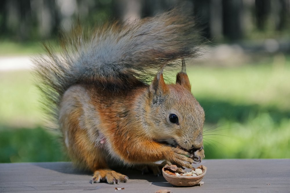 Photograph by Денис Бутин