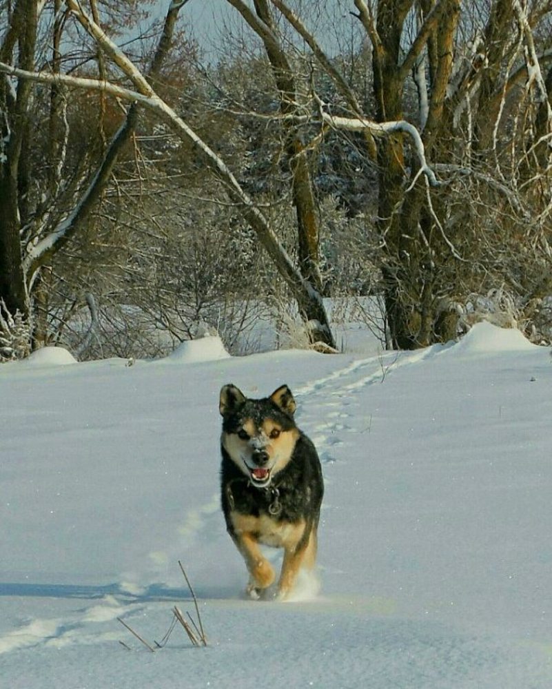 Photograph by Михаил Никитин