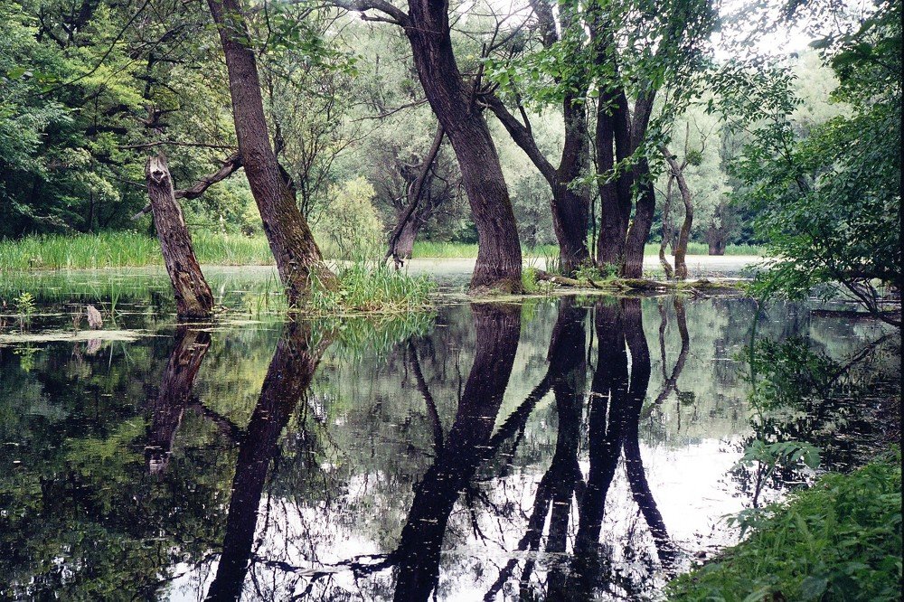 Photograph by Андрей Кубрак