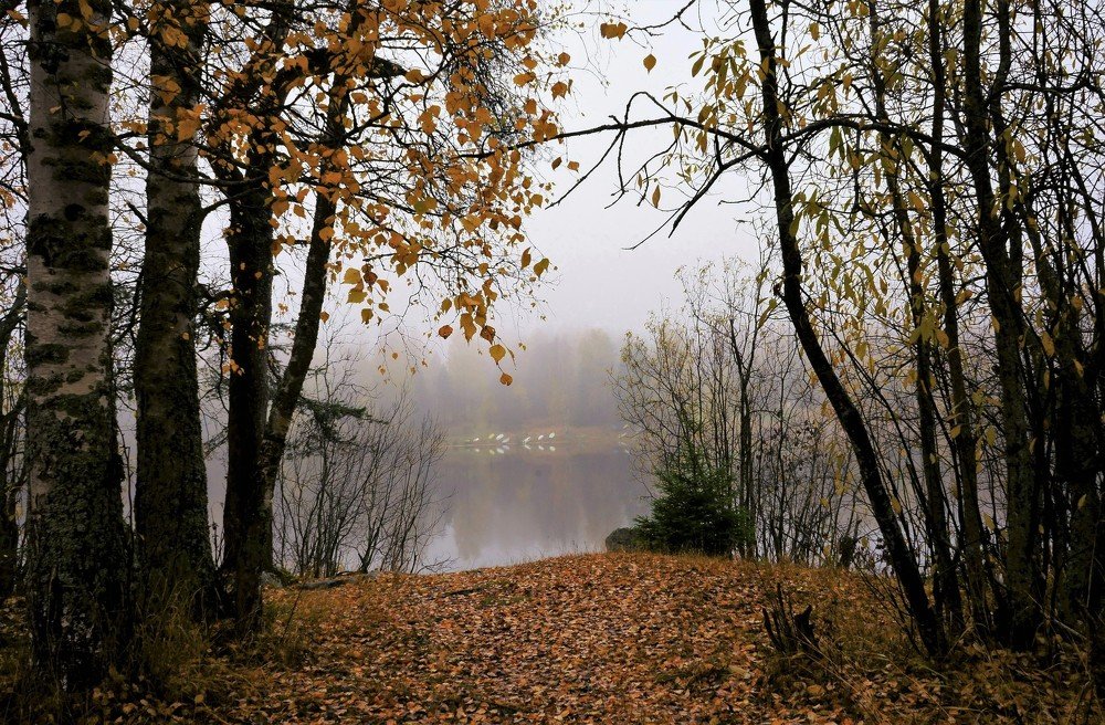 Photograph by Елена Шмарловская