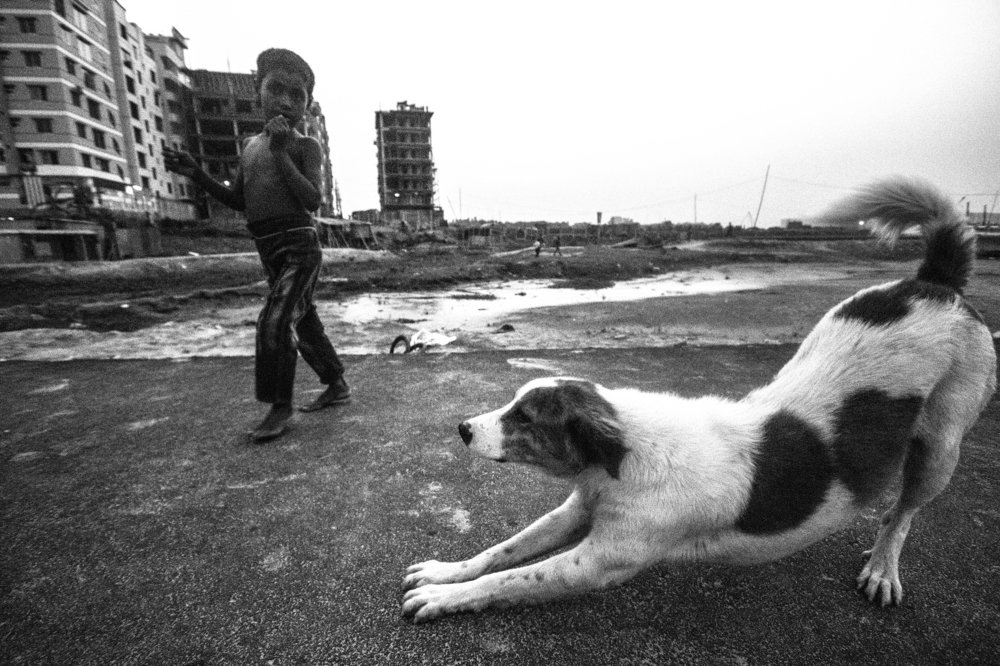 Photograph by Akib Amjad