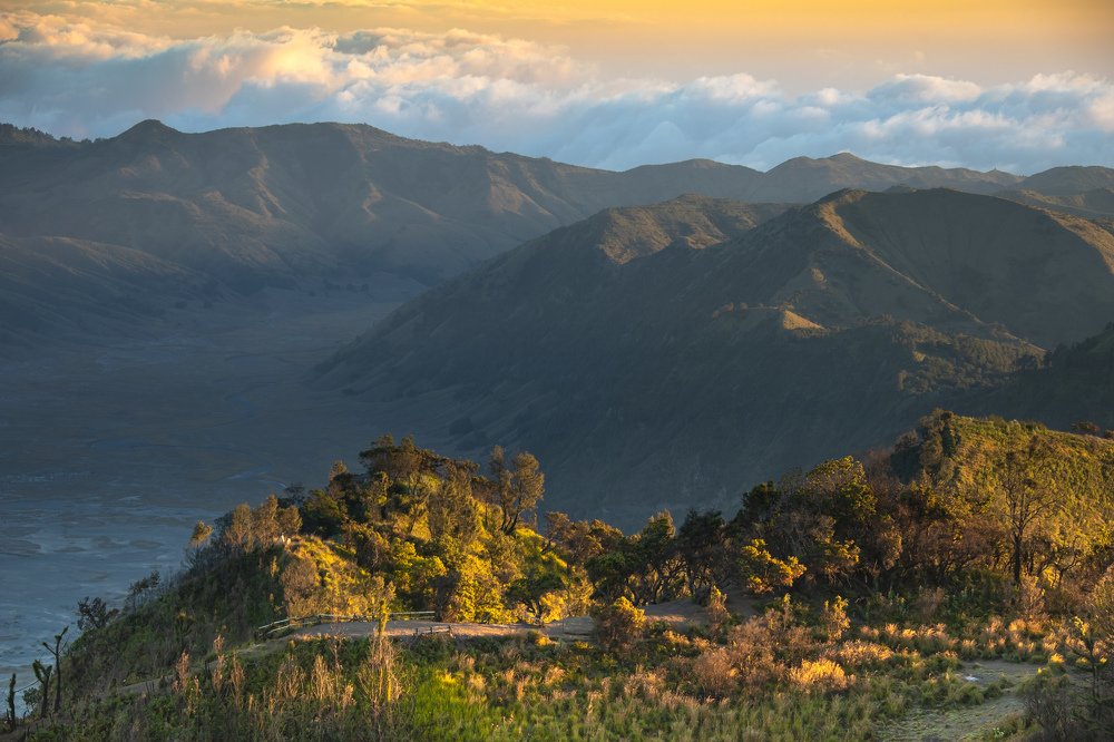 Фотография автора Anil Prabhakar