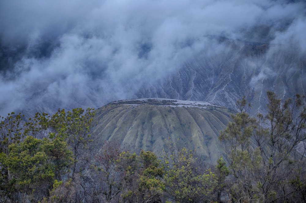 Фотография автора Anil Prabhakar