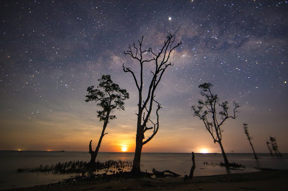 Photograph by Anil Prabhakar